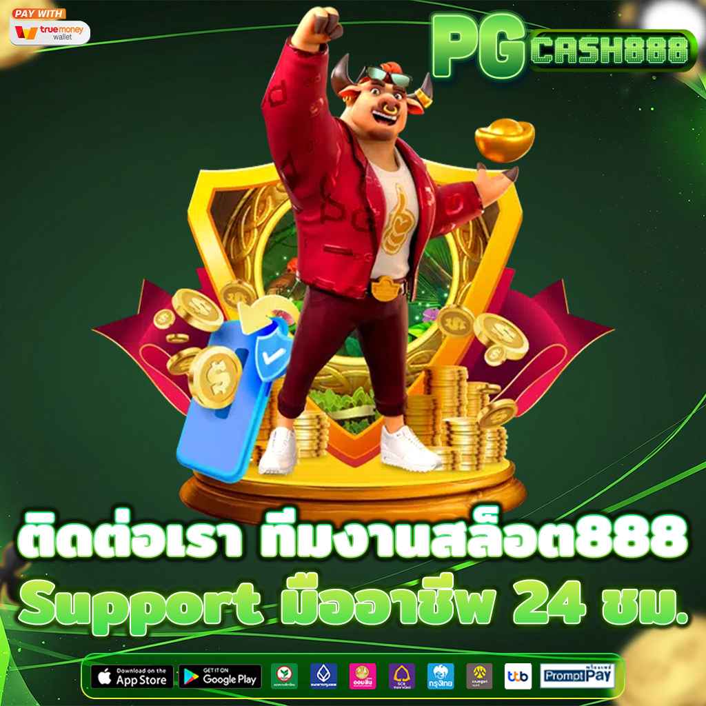 ติดต่อเรา